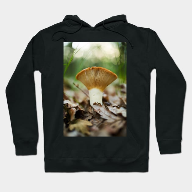 Peppery milk-cap, edible mushroom Hoodie by naturalis